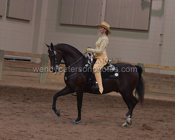 038_2431-Do_not_copy_PROOF