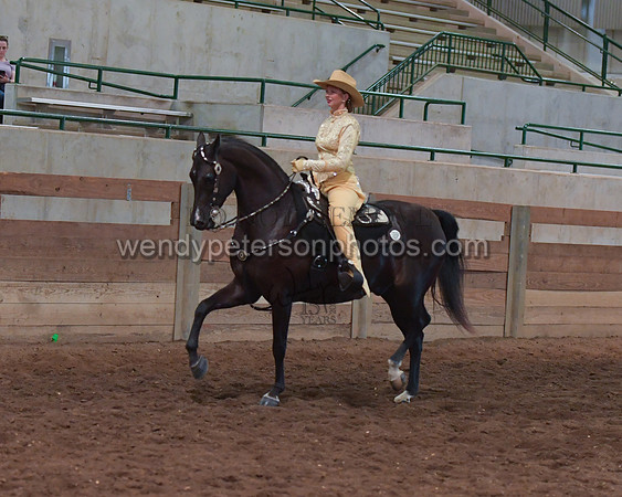 038_2429-Do_not_copy_PROOF