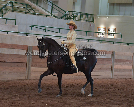 038_2428-Do_not_copy_PROOF