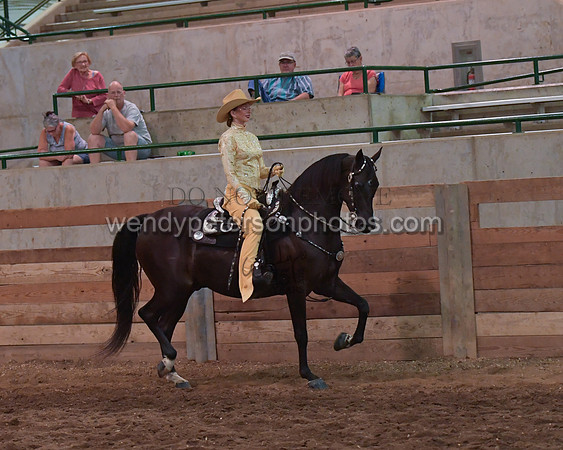 038_2437-Do_not_copy_PROOF