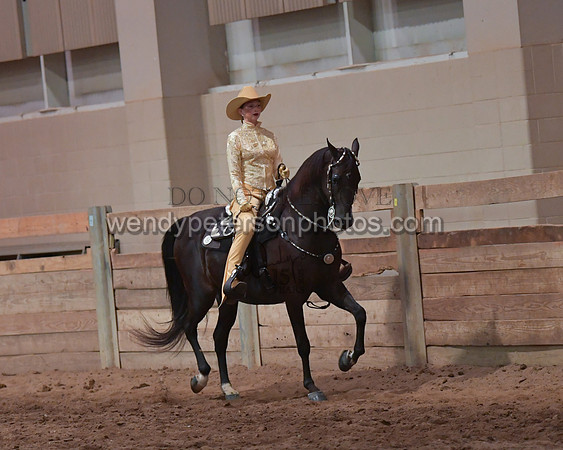 038_2441-Do_not_copy_PROOF