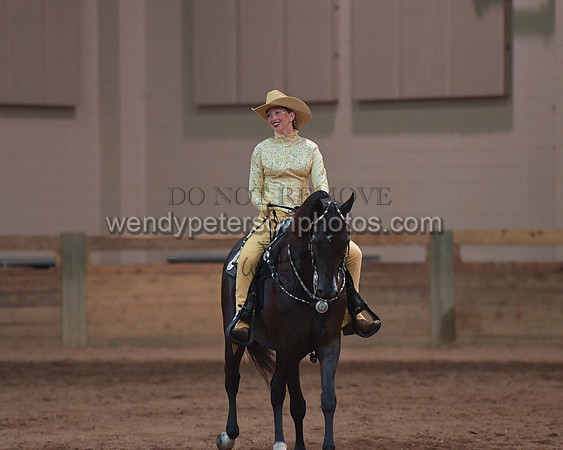 038_2446-Do_not_copy_PROOF