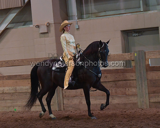 038_2442-Do_not_copy_PROOF