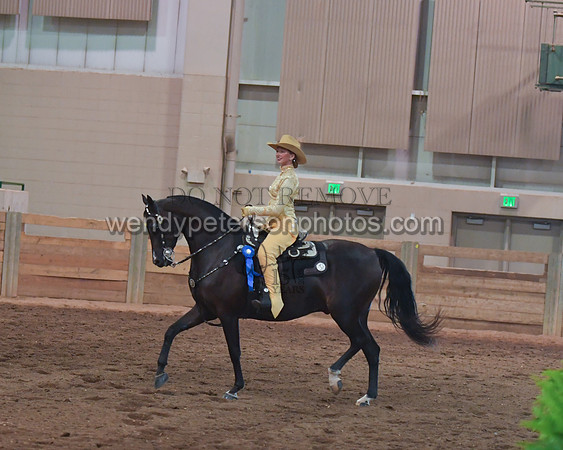 038_2453-Do_not_copy_PROOF