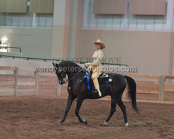 038_2454-Do_not_copy_PROOF