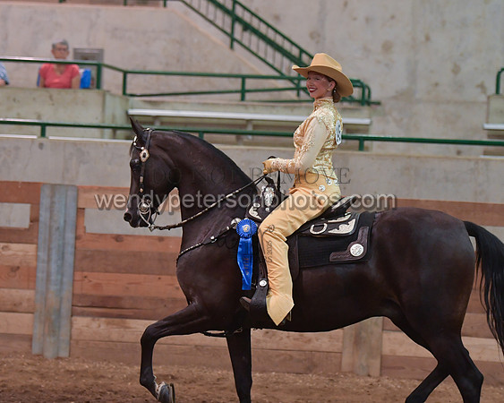 038_2459-Do_not_copy_PROOF