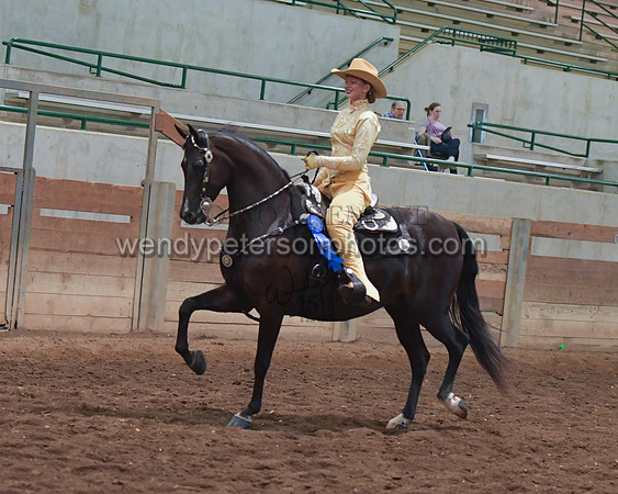 038_2457-Do_not_copy_PROOF