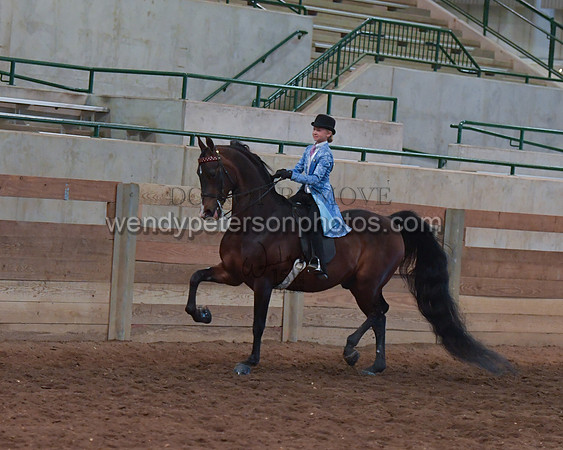 036_2373-Do_not_copy_PROOF