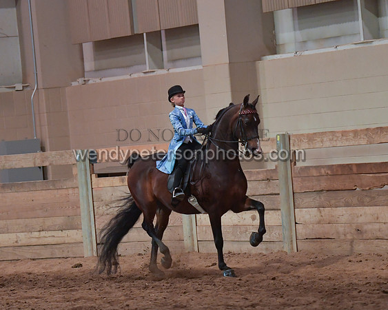 036_2394-Do_not_copy_PROOF