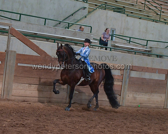 036_2411-Do_not_copy_PROOF
