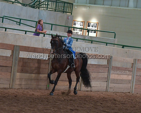 036_2409-Do_not_copy_PROOF