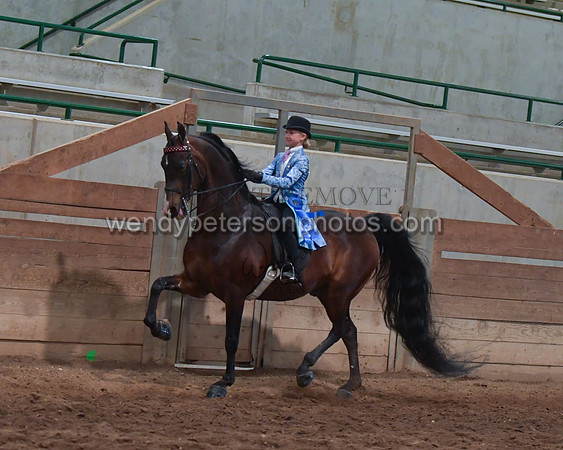 036_2413-Do_not_copy_PROOF