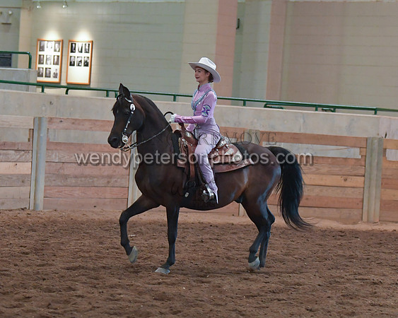 034_2321-Do_not_copy_PROOF