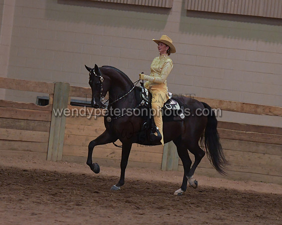 034_2325-Do_not_copy_PROOF