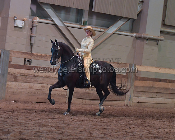 034_2328-Do_not_copy_PROOF