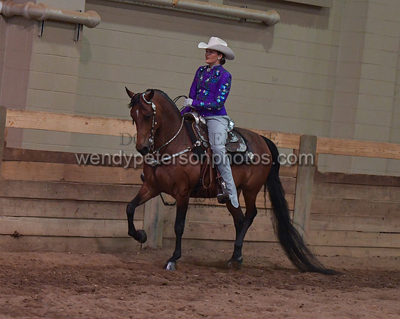 034_2331-Do_not_copy_PROOF