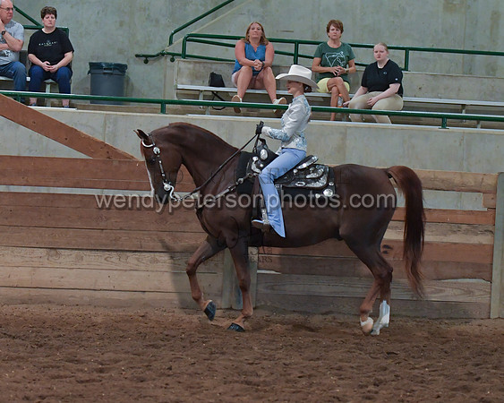 034_2333-Do_not_copy_PROOF