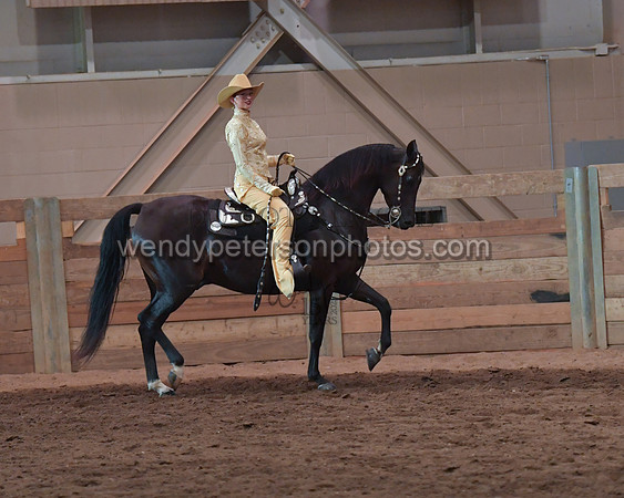 034_2334-Do_not_copy_PROOF
