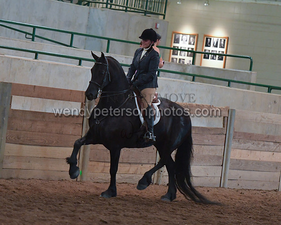 033_2286-Do_not_copy_PROOF
