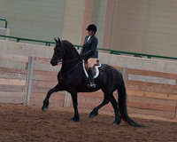 033 Opportunity Sport Horse Under Saddle