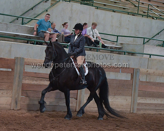 033_2295-Do_not_copy_PROOF
