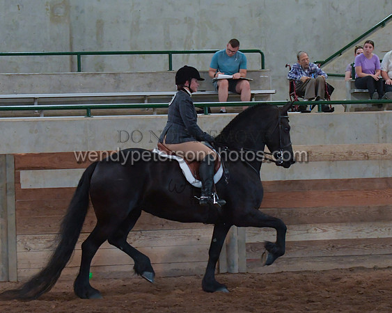 033_2299-Do_not_copy_PROOF
