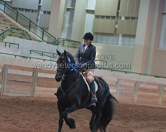 033_2310-Do_not_copy_PROOF