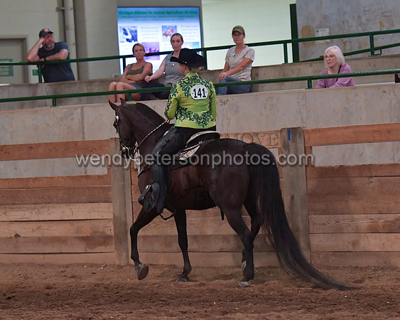 032_2263-Do_not_copy_PROOF