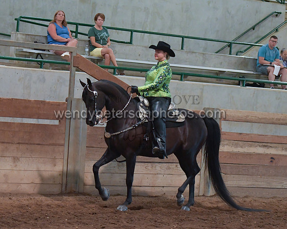 032_2261-Do_not_copy_PROOF