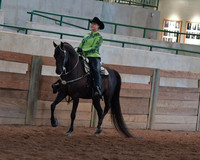 032 Morgan Western Pleasure Open
