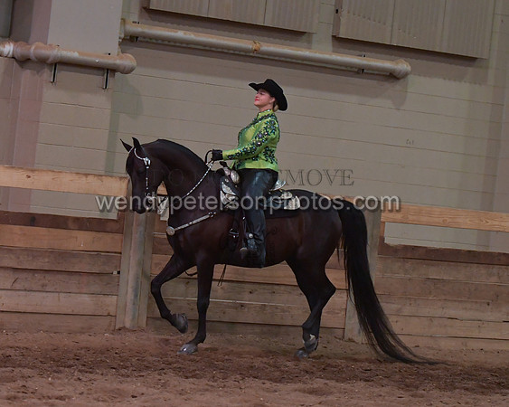 032_2267-Do_not_copy_PROOF