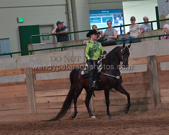 032_2270-Do_not_copy_PROOF