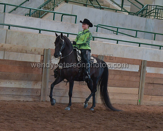 032_2258-Do_not_copy_PROOF