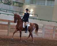 031 Saddlebred Country Hunter Pleasure
