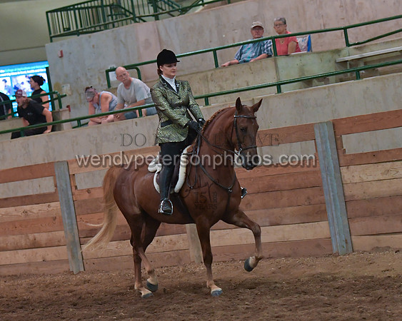 031_2243-Do_not_copy_PROOF