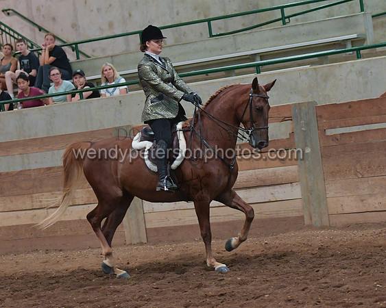 031_2244-Do_not_copy_PROOF