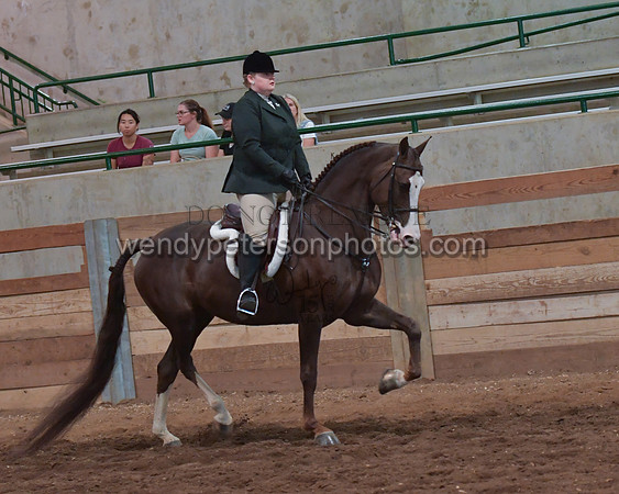 030_2210-Do_not_copy_PROOF