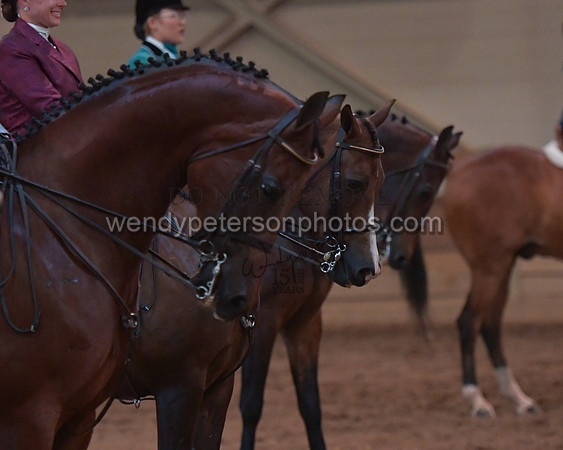 030_2216-Do_not_copy_PROOF