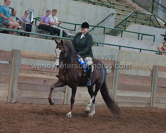 030_2226-Do_not_copy_PROOF