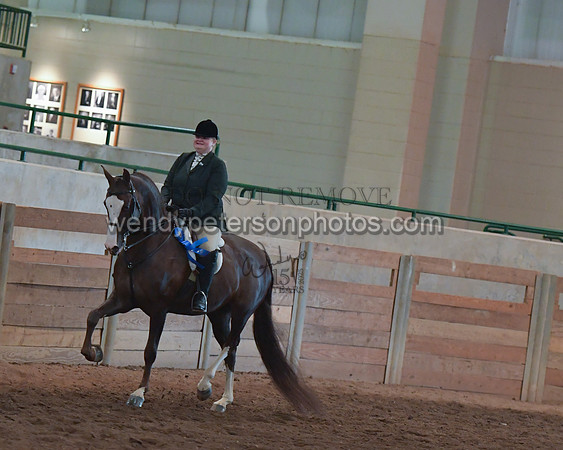 030_2225-Do_not_copy_PROOF