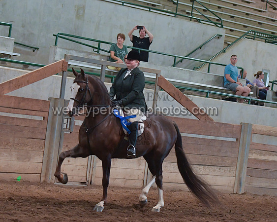 030_2227-Do_not_copy_PROOF