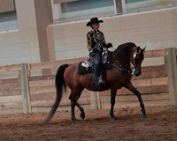 028 Morgan Western Pleasure Walk Trot 11 & Under