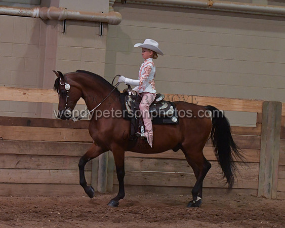 028_2141-Do_not_copy_PROOF