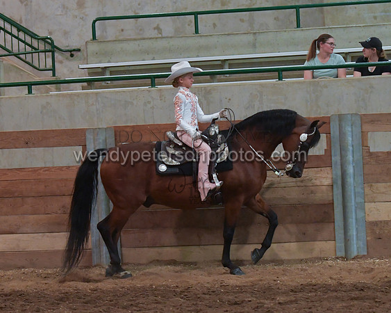 028_2146-Do_not_copy_PROOF