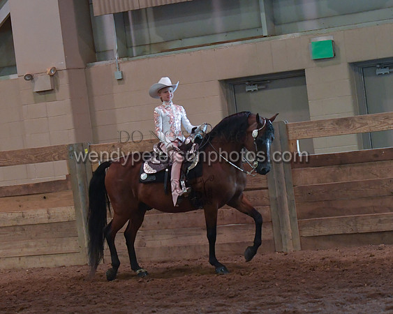 028_2154-Do_not_copy_PROOF