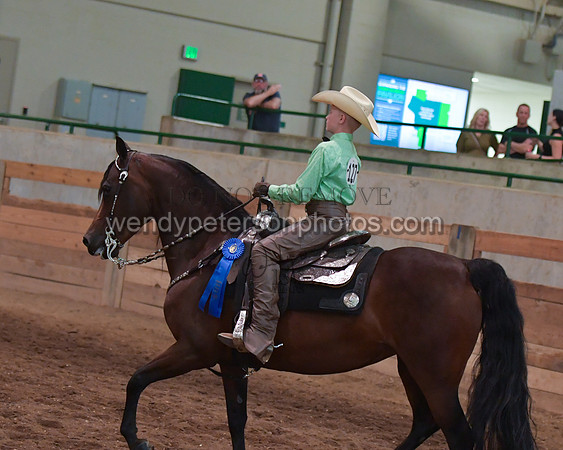 028_2169-Do_not_copy_PROOF