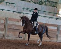 026 Morgan Hunter Pleasure Open