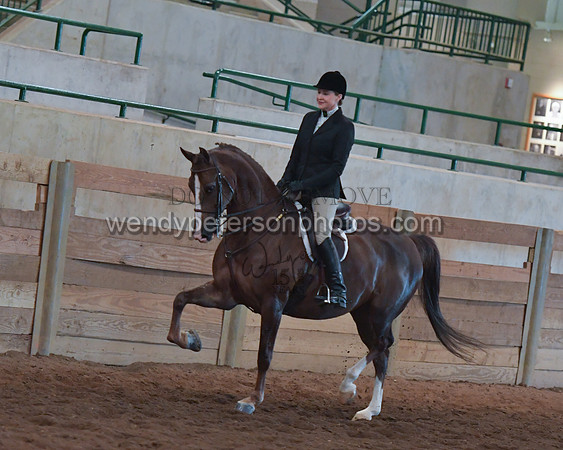 026_2086-Do_not_copy_PROOF
