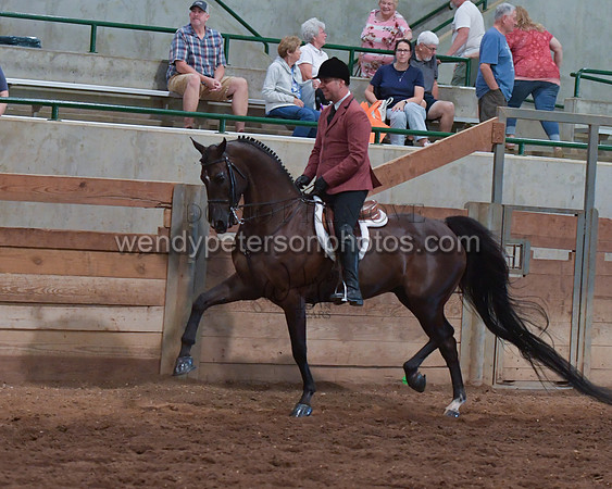 026_2091-Do_not_copy_PROOF