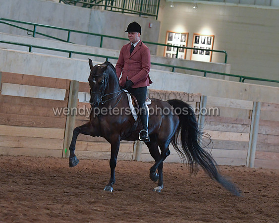 026_2098-Do_not_copy_PROOF
